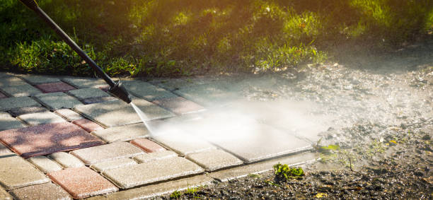 Best Driveway Pressure Washing  in Franklin, NJ