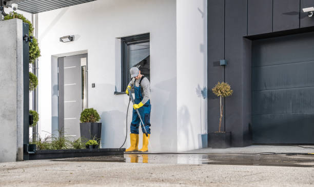 Best Gutter Cleaning  in Franklin, NJ